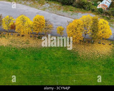 Vista aerea dei vivaci alberi autunnali gialli che costeggiano un campo sportivo verde in Galles Foto Stock