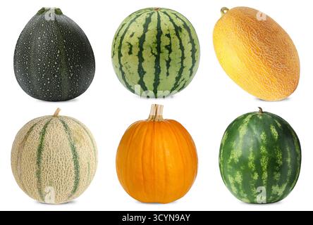 Zucche fresche, angurie e meloni isolati su bianco, set. Verdure di famiglia gourd Foto Stock