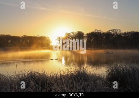 Pen Ponds nel Richmond Park in inverno, nebbia all'alba con anatre sul lago Foto Stock