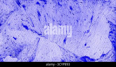 Carta marmorizzata azzurra con sottili vortici organici e superficie granulosa. Diverse sfumature di blu. Motivo astratto fatto a mano perfetto per sfondi, imballaggi, scrapbooking o design tessile. Foto Stock