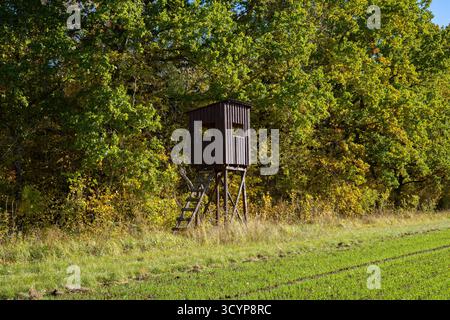 Tribuna di caccia in legno sopraelevata nella foresta autunnale Foto Stock