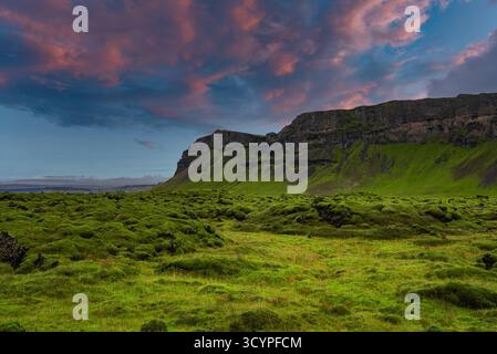 Campo lavico coperto di muschio e scogliera di basalto sulla costa meridionale dell'Islanda Foto Stock