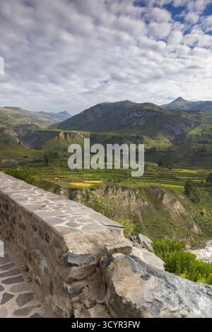 Colca Canyon, un canyon fluviale nel sud del Perù famoso come uno dei suoi Foto Stock