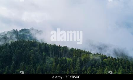 Germania, magica foresta nera, atmosfera nebbiosa, vista panoramica sopra le cime degli alberi del bellissimo paesaggio naturale con la luce del sole, paradiso Foto Stock