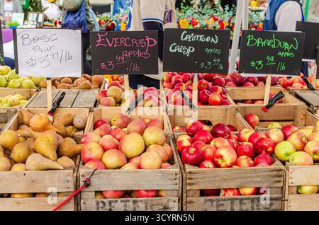 Casse di mele e pere fresche in mostra in un mercato agricolo di del Ray, Alexandria, Virginia, USA, con prodotti locali e sapori stagionali. Foto Stock