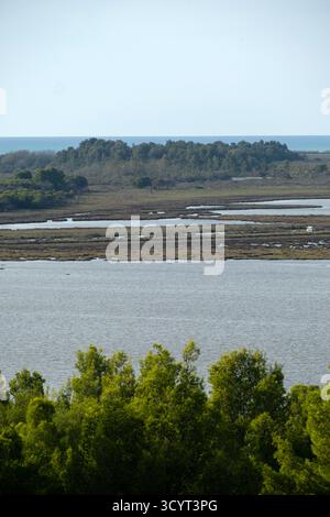 22.09.2024, Albania, Divjaka, Divjaka - Vista della laguna (acqua salata e dolce alla foce di un fiume) nel Parco Nazionale Divjaka-Karavasta sull'Adriatico Foto Stock