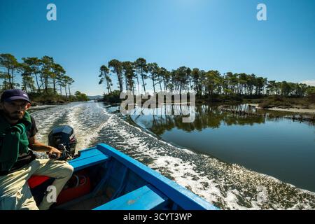 23.09.2024, Albania, Divjaka, Divjaka - gita turistica in barca alla laguna (acqua salata e dolce di un estuario del fiume) nel Parco Nazionale di Divjaka-Karavasta o Foto Stock