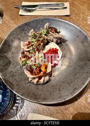 Gnocchi senza glutine di semi di lino con ripieno di patate, serviti con funghi canterelle, salsa di mirtilli e panna acida. Servita su un piatto scuro. Foto Stock