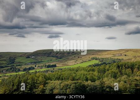 Una vista sul bosco fino alla brughiera delle colline dei West Pennines vicino a Crawshawbooth, Rossendale, Lancashire. Foto Stock