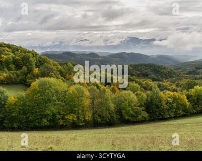 Foresta autunnale con nebbia che si innalza sulle colline sullo sfondo. Cielo nuvoloso con nuvole grigie. Paesaggio montano. Area protetta Vrsatec, Slovacchia Foto Stock