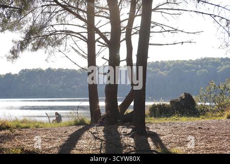 Lago Lacanau. Giornata autunnale sulle rive del lago Lacanau vicino all'Oceano Atlantico in Gironde, Francia. Foto Stock