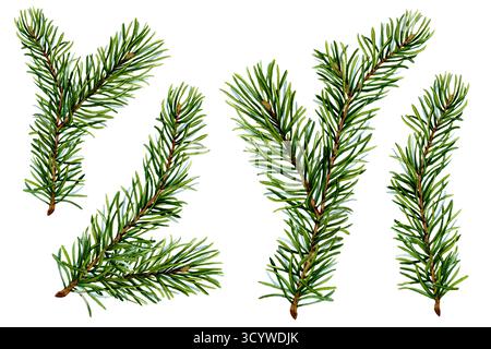Set di ramoscelli di abete rosso verde disegnati a mano su sfondo trasparente. Collezione invernale di alberi di Natale. Modello per decorazioni, inviti Foto Stock