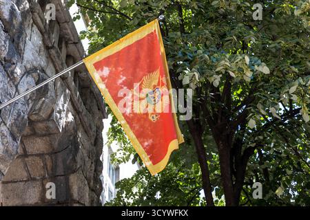 Rosso Montenegro un emblema di aquila dorata è appeso vicino a un muro di pietra testurizzata, incorniciato da un lussureggiante fogliame verde. Un'incredibile scena all'aperto perfetta per la tradizione Foto Stock