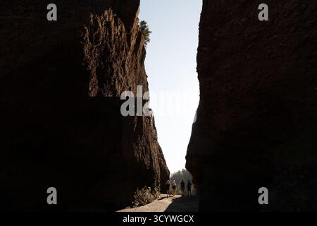 I turisti esplorano Hopewell Rocks a Low Tide nella Baia di Fundy, Hopewell Rocks, New Brunswick, Canada Foto Stock