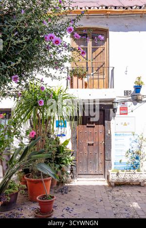 Vecchia casa cittadina con facciata rossa, balcone, porta in legno e piante da arrampicata in una strada stretta. Estepona, Malaga, Andalusia, Spagna. 3 settembre 2025. Foto Stock