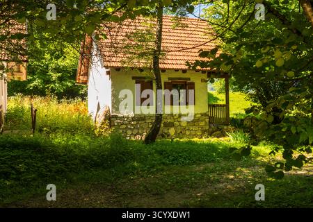 Cottage rurale tradizionale abbandonato con tetto in piastrelle di terracotta nel prato coltivato vicino a Bovec, valle di Soča, Slovenia, circondato da una lussureggiante vegetazione estiva Foto Stock