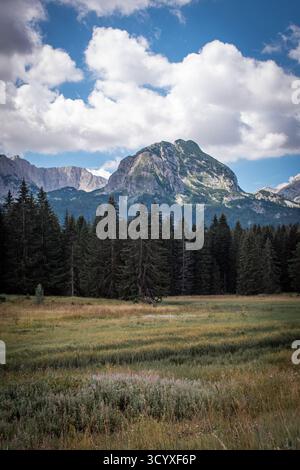 Parco nazionale Durmitor in Montenegro. Un paesaggio mozzafiato con un prato lussureggiante e erboso. Montagna con aspre scogliere. Foto Stock