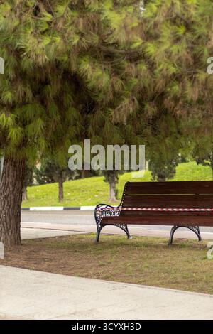 Park Bench sotto i pini. Una panchina di legno marrone su erba sotto alti pini vicino a una strada in un parco, che offre un posto ombreggiato per riposare in una rete verde Foto Stock
