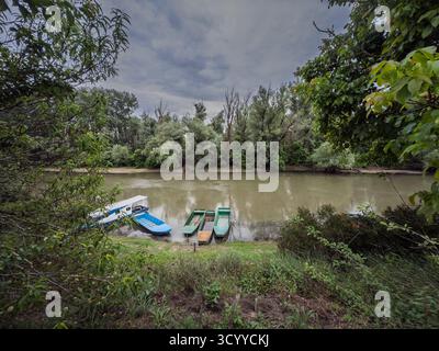 Piccole imbarcazioni a remi ormeggiate sul fiume Tamis o timis, vicino a Jabuka, Vojvodina, Serbia, incorniciato dal verde lungo la riva del fiume. Il Tamis è un Danubio Foto Stock