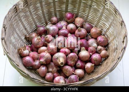 Una pila di cipolle fresche nel cestello. È una verdura conosciuta anche come cipolla bulbo o cipolla comune. Localmente in Bangladesh, si chiama Peya Foto Stock