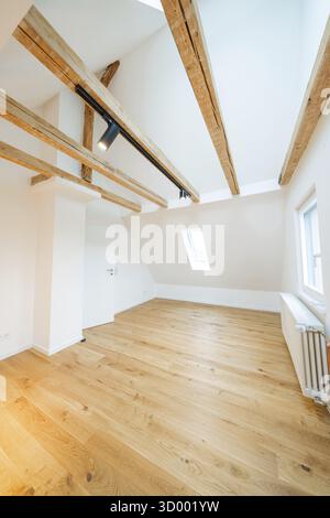 Sala illuminata sotto il tetto con caldi pavimenti in legno e soffitto a travi visibili, ristrutturazione di case, ristrutturazione climatica, Metzingen, Germania Foto Stock