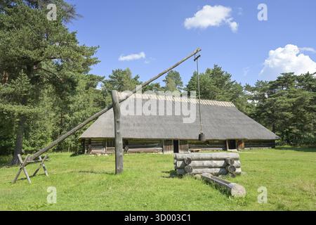 Fattoria, tetto in paglia, fontana, Museo all'aperto estone, Rocco al Mare, Tallinn, Estonia Foto Stock