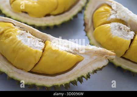Famoso re di musang durian di frutti della Malesia, dolce carne cremosa dorata Foto Stock
