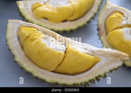Famoso re di musang durian di frutti della Malesia, dolce carne cremosa dorata Foto Stock