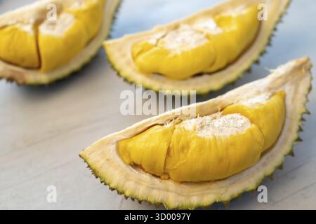 Famoso re di musang durian di frutti della Malesia, dolce carne cremosa dorata Foto Stock