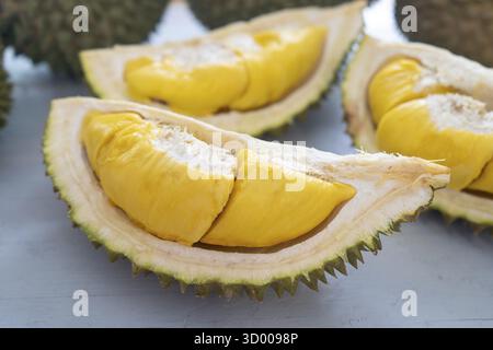 Famoso re di musang durian di frutti della Malesia, dolce carne cremosa dorata Foto Stock