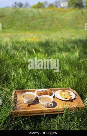 Picnic romantico nella natura, due tazze di caffè su un vassoio di legno sull'erba e croissant freschi Foto Stock