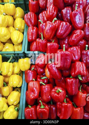 Peperoni in un supermercato Foto Stock
