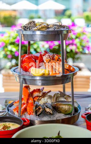 Piatto di pesce servito su ghiaccio, con ostriche, aragosta, gamberi, Foto Stock