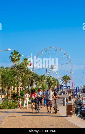 Francia, Var, Saint-Raphael, banchine del Porto Vecchio e la ruota panoramica sullo sfondo Foto Stock