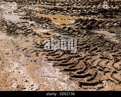 Le tracce degli pneumatici creano intricati motivi nel fango bagnato in un cantiere rurale. Le pozzanghere si formano nelle zone basse, riflettendo il cielo. La scena viene evidenziata Foto Stock