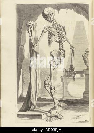 Illustrazione anatomica storica di uno scheletro umano in piedi in un ambiente classico, da Ontleding des menschelyken lichaams di Govard Bidloo, 1690. Foto Stock