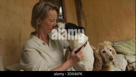 Donna rinculante con un cane bicolore che lecca il naso sul sedile imbottito del portico, con spaniel e rastrello Foto Stock