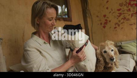Tiene in mano un cane bianco e nero e accarezza lo spaniel dorato sulla panchina del portico, con finestra e cuori rossi Foto Stock