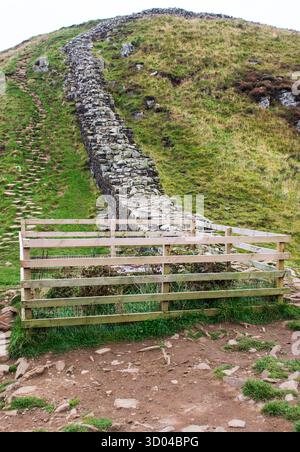 Recinzione che protegge il restante ceppo dell'albero vandalizzato a Sycamore Gap nel Northumberland, Inghilterra, Regno Unito, che è stato abbattuto illegalmente nel 2023. Foto Stock