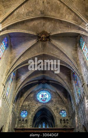 L'interno dell'enorme cattedrale gotica di Santa Maria del XV secolo a Girona, Spagna. La navata è la più larga del mondo (23 m) e il tetto a volta è alto 35 m. Foto Stock