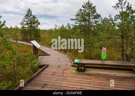 Riisa, Estonia - 26 agosto 2021: Passerella in legno che conduce attraverso il paesaggio paludoso nel Parco Nazionale di Soomaa con cartelli informativi lungo il sentiero. Foto Stock