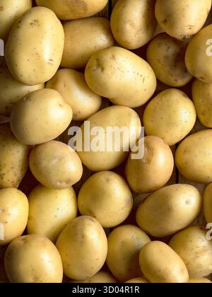 Patate gialle crude che riempiono la cornice con uno sfondo alimentare naturale Foto Stock