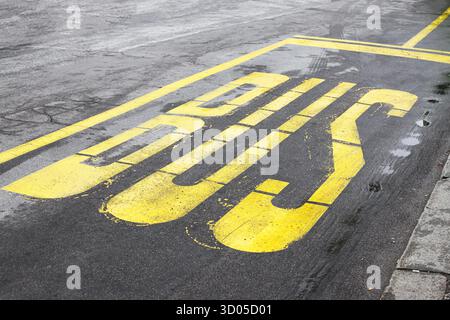 Contrassegno della fermata dell'autobus verniciato su asfalto. Cartelli stradali gialli. Corsia dei mezzi pubblici urbani. Dettaglio superficie stradale. Elemento infrastruttura urbana. Foto Stock