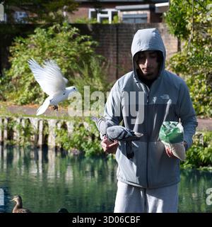 CANTERBURY, Regno Unito - 19 AGOSTO 2025: Un giovane con una giacca grigia con cappuccio North Face nutre piccioni selvatici e una colomba bianca vicino all'acqua ai Westgate Gardens Foto Stock