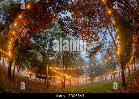 Luci parallele a corda sono appese tra gli alberi autunnali in un parco nebbioso. Toni caldi e foglie cadute creano una scena tranquilla e invitante. Foto Stock