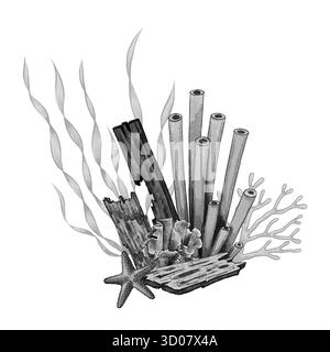 Composizione grafica in bianco e nero con coralli tubolari, tavole di legno, stelle marine, alghe marine e coralli della barriera corallina su sfondo bianco. Perfetto per progetti marini, packaging, decorazioni e subacquee Foto Stock