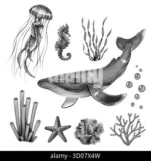 Set grafico in bianco e nero con balene, meduse, cavallucci marini, coralli, stelle marine, alghe e bolle d'aria su sfondo bianco. Perfetto per progetti di design marino, packaging, arredamento e didattici Foto Stock