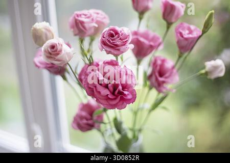 Bellissimo bouquet di fiori rosa brillanti in un eustoma di vaso Foto Stock