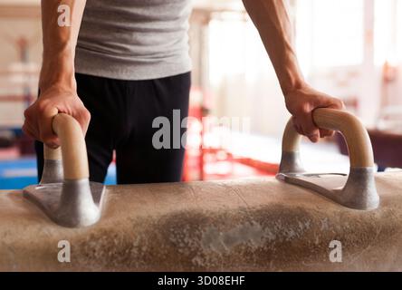 Manici da ginnastica per cavalli pommel in allenamento Foto Stock