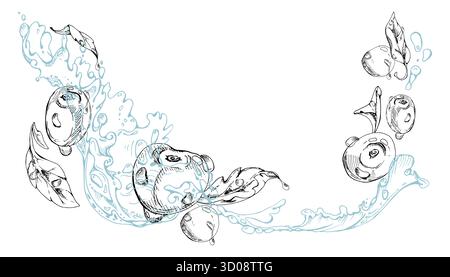 La dolce ciliegia acida che vola in acqua spruzza gocce, inchiostro vettoriale disegnato a mano, bacche e foglie mature. Illustrazione della composizione isolata Illustrazione Vettoriale